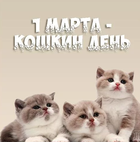 День кошки в России