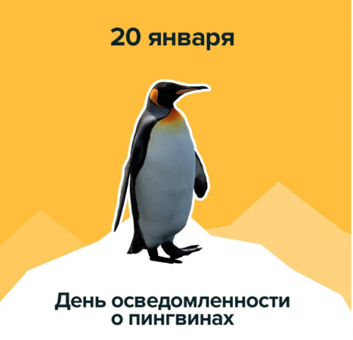 20 января  – День пингвина (Penguin Awareness Day)