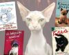 10 лучших книг, главными героями которых являются кошки