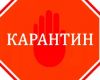 Рекомендации Российской библиотечной ассоциации по открытию библиотек после карантина