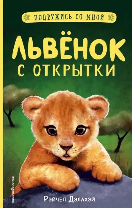 Львенок