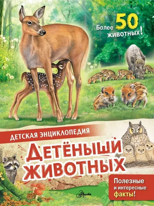 Детеныши